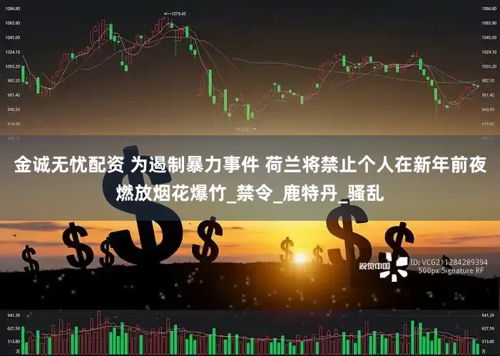 金诚无忧配资 为遏制暴力事件 荷兰将禁止个人在新年前夜燃放烟花爆竹_禁令_鹿特丹_骚乱