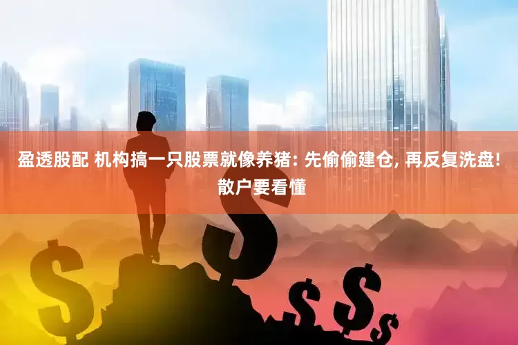 盈透股配 机构搞一只股票就像养猪: 先偷偷建仓, 再反复洗盘! 散户要看懂