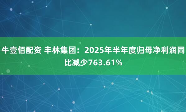 牛壹佰配资 丰林集团：2025年半年度归母净利润同比减少763.61%