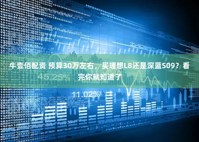 牛壹佰配资 预算30万左右，买理想L8还是深蓝S09？看完你就知道了