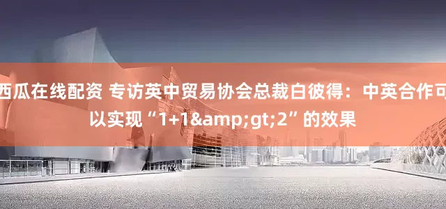 西瓜在线配资 专访英中贸易协会总裁白彼得：中英合作可以实现“1+1&gt;2”的效果